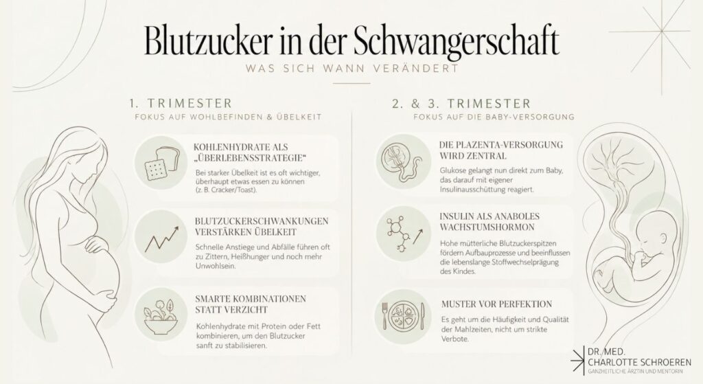 Blutzucker in der Schwangerschaft - Dr med Charlotte Schroeren